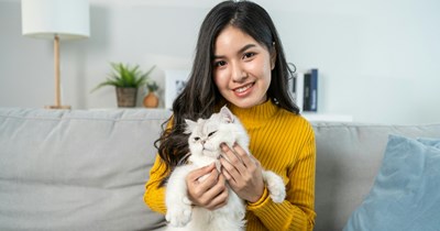 Tenant spends $300 taking roommate’s visibly sick cat to the emergency vet while owner is out of town, owner refuses repayment because she “didn’t ask first”: ‘He was yowling in pain’