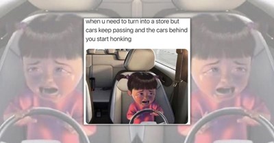 ‘The cone came out of nowhere’: 23 Driver’s License Memes for Teen Drivers Surviving Their First Road Test