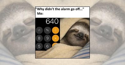 ‘Mentally buffering since Monday’: 22 Sleepy Sloth Memes for People Emotionally Attached to Naps