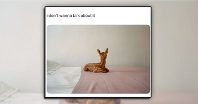 'Happiness is a warm puppy': 21 Animal laughs and joys for a happy brain this week (May 21, 2026)