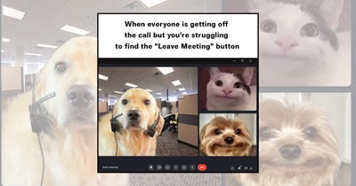 'You're muted': 31 Video call memes worth sharing on your next online meeting 