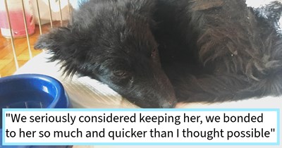 Abandoned puppy found in the middle of nowhere brought back from the brink by dog loving couple who found the pawfect furever home with a canine craving family, rescuer says: ‘She has a new shot at life and I am so happy we gave her a second chance.’