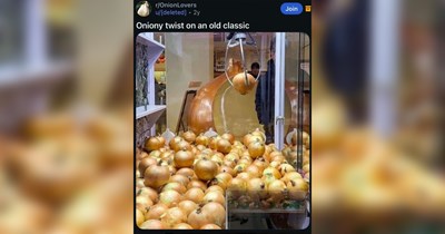 The Funniest Reddit Posts of the Week