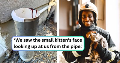 Plumber with a free cat-rescue service saves two kittens stuck in a pipe after firefighters fail to help, completely unaware his fiancée is witnessing the mission unfold online