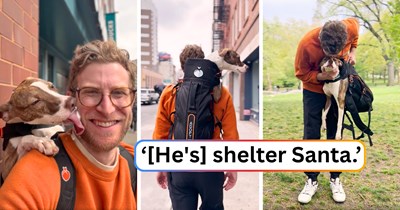 Man walks around NYC with shelter dogs in his backpack to help them find homes, and his latest passenger completely stole the internet's heart: 'Shortly after this ride, Stormy was adopted.'