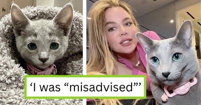 ‘She was getting advice from a psychic’: Khloé Kardashian gets her two cats declawed, faces backlash, then offers fans a watered-down apology