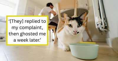 Cat owner claims popular feline food brand quietly changed their formula, causing their allergic kitty to have a severe reaction: ‘The food is visibly different’