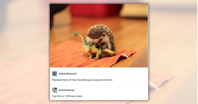 19 Nice and Wholesome Animal Posts to Brighten Your Day With a Smile