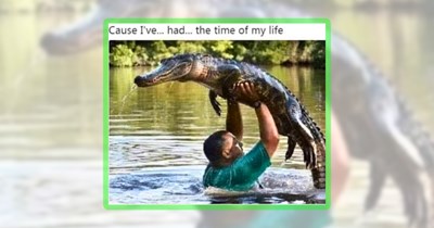 22 Alligator Memes to Sink Your Teeth Into This Week