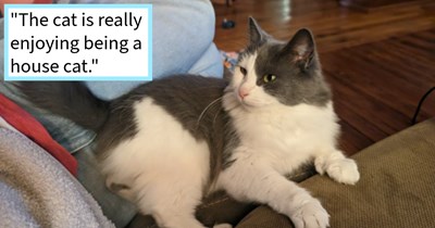 Neglected cat left to freeze outside by forgetful family over Christmas saved and adopted by cat loving neighbor who couldn’t let her suffer through winter temps alone, rescuer says: At this point I think we're in the clear and I just have a new cat.