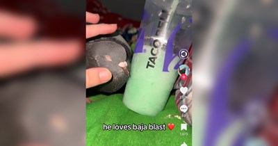 The Most Entertaining Takes From TikTok This Week