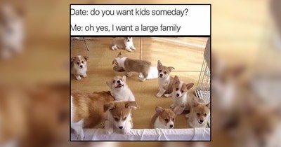 A Delightful Collection of Doggos for Devoted Dog Dads 