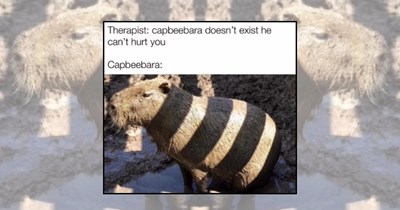 21 Extra-Capy Capybara Memes Featuring the Internet’s Most Huggable Blob Animals