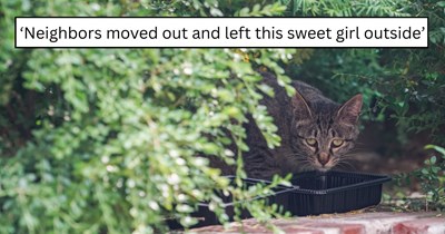 'So excited to have her join our little family': Sweet cat left behind by former owners finds warmth, comfort, and a loving fresh start 