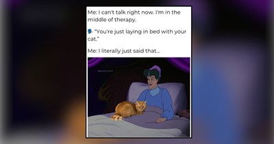 30 Wholesome Memes of Purrfessional Felines Solving Problems With Aggressive Emotional Support