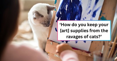 Artists debate the ancient discipline of keeping their cats from playfully destroying their creations, turned into a masterclass of this fine feline art every beginner should learn.
