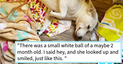 Abandoned puppy who turned up by pawrents’ chicken pen quickly gets adopted and becomes the light of her fur family, dog mom says: ‘Mona Lisa is the first pup, that has ever smiled like a human, she also flirts and cry/ whines trying to talk to us.’