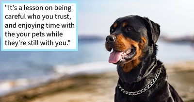 How this dog mom lost her fur baby to a bad relationship but got him back after 10 years apart, never having given up hope they’d be reunited one day, dog mom says: ‘Friends would gently suggest I get another dog, but I never did.
