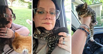 Alabama woman receives surprise visit from the farm mouser tomcat, who led a stray kitten to her doorstep and disappeared: 'He left the same way he came, leaving me with his child. Men.'