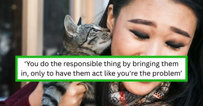 Kitten rescuer agrees to foster abandoned cat for local shelter, only to be denied over a technicality and charged $240 to surrender her, rescuer says: "I feel like they tricked us"
