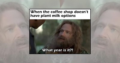 A Fresh Harvest of 20 Vegan Memes for Herbivores With a Sense of Humor