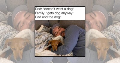 21 Sausage-Shaped Dachshund Memes for Pups Who Bark First and Ask Questions Never