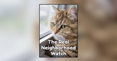 28 Sneaky Memes of Purrfectly Nosy Cats Running the Neighborhood Watch Program