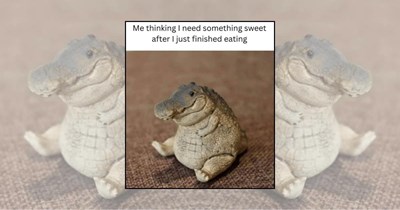 22 Memes as Sweet as Fresh-Baked Cookies and Twice as Comforting