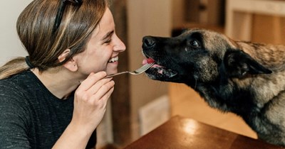 'I literally told her not to': Entitled 23-year-old gets German Shepherd without roommate's approval, roommate ends up doing all the work