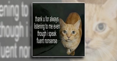 'Everything will be okay, you a diva': A thankful bunch of memes that say "Thank You" to your nearest and dearest