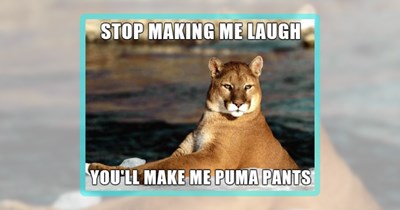 Friday Feral Fun Featuring 27 Wild Animal Memes