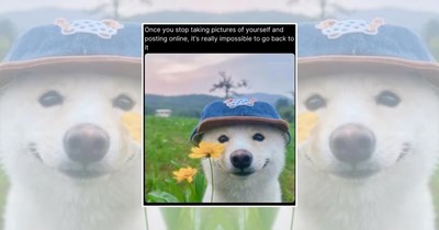 'You deserve this little treat': 23 Heartwarming Animal Memes for Anyone Needing a Smile