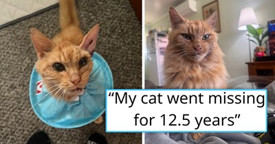 Malnourished Senior Cat Gets Rescued and Brought to Shelter, Turns Out He Went Missing 12.5 Years Ago, and His Family Was in Tears When They Were Finally Reunited