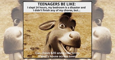 'Nobody understands me': 24 Teenager memes for the dramatic youth and patient parents