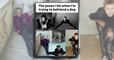 'Good boys get good memes': Dog Memes to Fill Your Morning Cup with Puppy Pawsitivity (June 6, 2026)