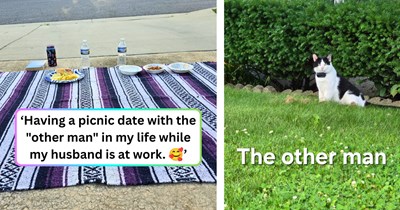 Wife "admits" she's seeing another man, fooling the online feline family for a funny minute: 'I don't think your husband will be able to compete with him.'