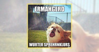 25 Dog Memes Filled With Summer Spice and Everything Nice