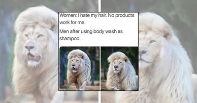 22 Lion Memes Roaring With Mane Character Energy for the Kings and Queens of the Jungle