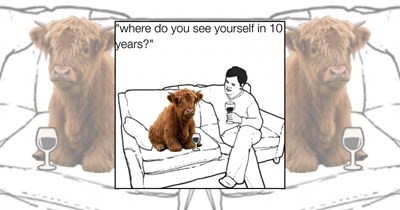 Here's a Moo-velous Collection of 23 Cow Memes to Keep You Grazing and Grinning