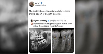 30+ of the Freshest and Funniest Tweets of the Week