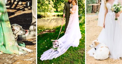 Brides share their puppers positioning themselves right on the wedding dress, stealing the spotlight in the most pawdorable way possible.