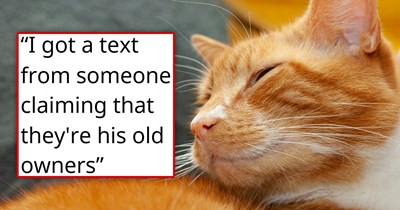 CDS delivers an old, injured, hungry orange cat to human who's eager to help him, but 5 months later, his original owners notice that their cat went missing, demand him back, and post on social media, slandering the person who saved "their" cat's life 