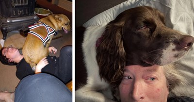 25 Velcro Puppers Pushing the Boundaries of their Pawrents’ Pawsonal Space