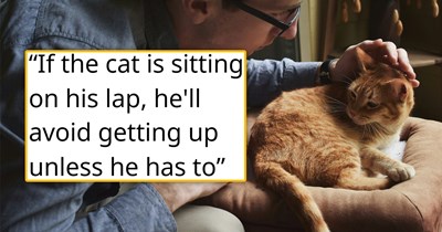 Girlfriend asks her man to put down his loyal cat of 7 years because he's "too attached" to it, she breaks up with him, he dodges a bullet: 'Oh, good. I've been trying to break it off since you wanted me to e*thanize my cat to save money'