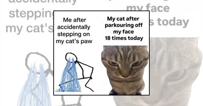 A Purrfect Collection of Cat Memes to Turn your Tuesday From Meh to Meowsome