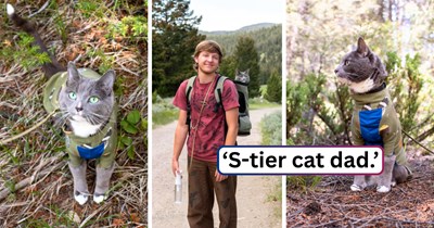 Cat dad shares his exciting escapades with his adventurous cat, dispensing knowledge, tips, and ameowzing pictures: 'I can't believe we've been wandering together for so long.'