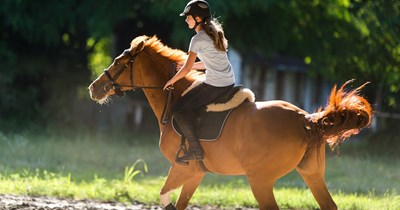 Horse Owner Begs Mom Not to Let Students Ride Her New Horse Daisy, Gets Called Entitled: ‘Hard to feel sorry for a child who was bought 2 horses’ 