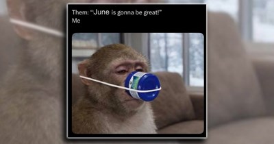 ‘Sunny and runny’: A tissue box of memes better than Mucinex when you're sick as a dog during the springtime