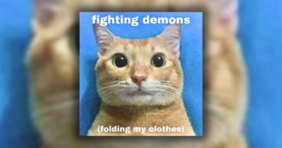34 Caturday Cats Meowing Memes in Your General Direction