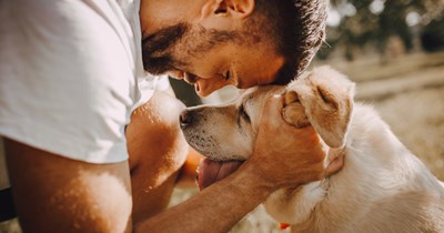 Dog lover considers breaking up with girlfriend for 'tolerating' his dog instead of loving him, internet backs him up: 'It would be a deal breaker'
